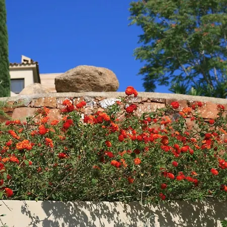 La D'aphrodite Avec Jacuzzi Vue Apartment